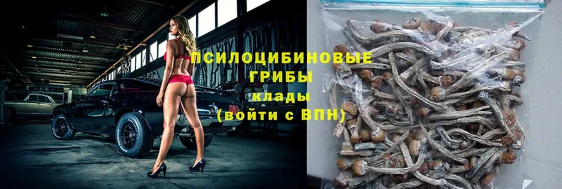 дарк нет как зайти  где продают наркотики  Ивдель  Псилоцибиновые грибы MAGIC MUSHROOMS 